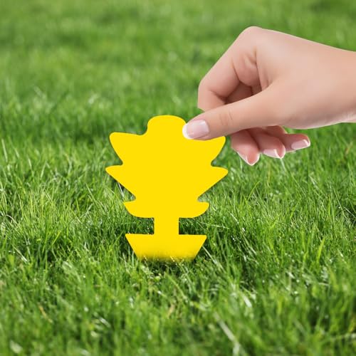 DTXDTech 37 sztuk żółtych tabliczek przeciw komarom do zwalczania nieszkodników – pułapki samoprzylepne bez insektycydów, wysoce skuteczne pułapki na muchy owocówki, bezwonne i bezpieczne pułapki na