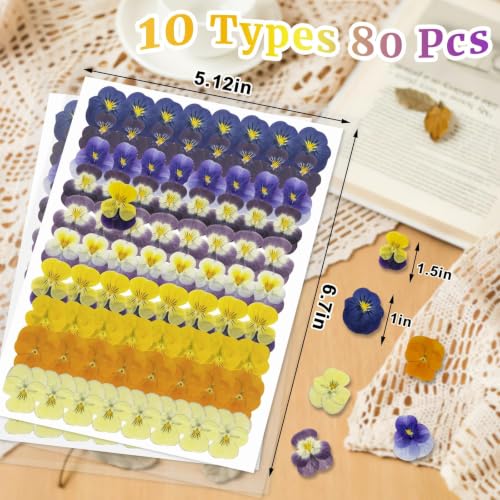 80 piezas flores secas comestibles para decoración miniatura 3