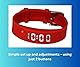 Red Pivotell Vibratime Vibrations-Pillen-Erinnerungs-Alarmuhr – mit bis zu 12 täglichen Alarmen – wiederaufladbar (USB-Ladegerät im Lieferumfang enthalten)