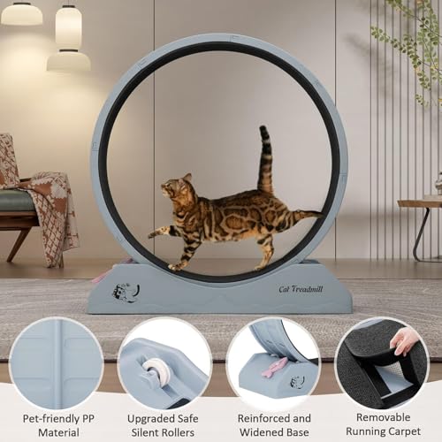 Roue de chat contre l'ennui : tapis roulant de chaton de sécurité pour stopper la sédentarité - 3