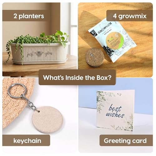 Image of Eha Earth-Friendly Printed Regalia Planters for Home Decor | 12 Inch, Pack of 2 with Growmix | Plant Gifts Made with Rice Husk Biocomposite | Flower Pot for Living Room| Sand Castle