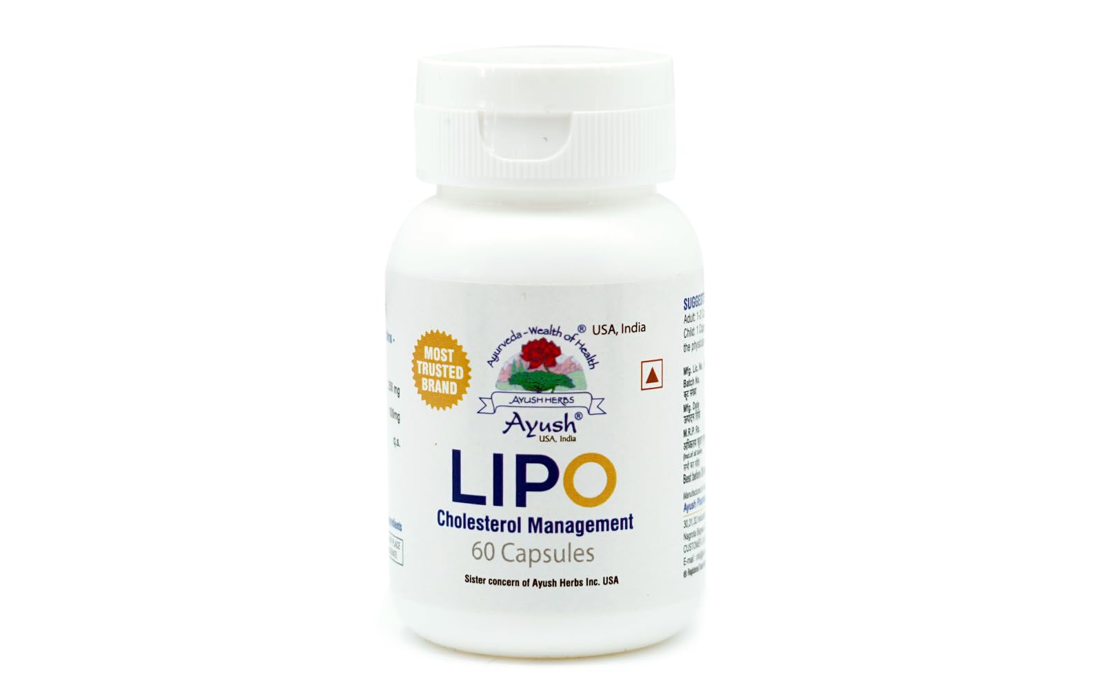 Ayush Herbs Lipo Lasun 1 * 60 Caps Brown (B0D2XM54W4) Amazon Price History, Amazon Price Tracker