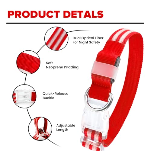 Feycig Leuchthalsband Hund USB Aufladbar - LED Hundehalsband Leuchtend Wasserdicht Leuchtendes Hunde Halsband Einstellbare für Kleine Mittlere Große Hunde, 3 Modi