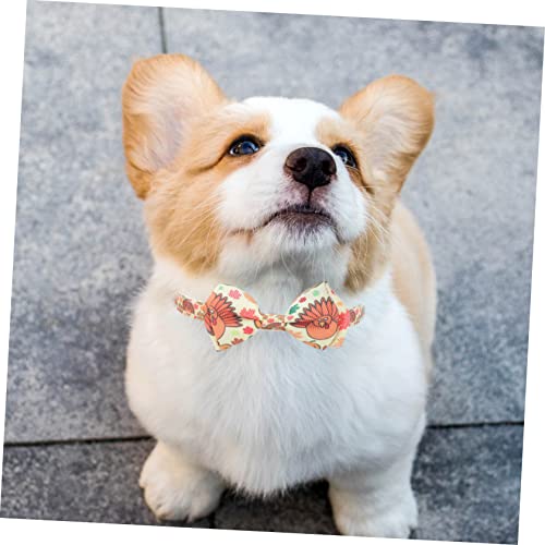 Amosfun 10 Pcs Coleira De Estimação Coleira De Abóbora Colares Separatistas Para Animais De Estimaçã