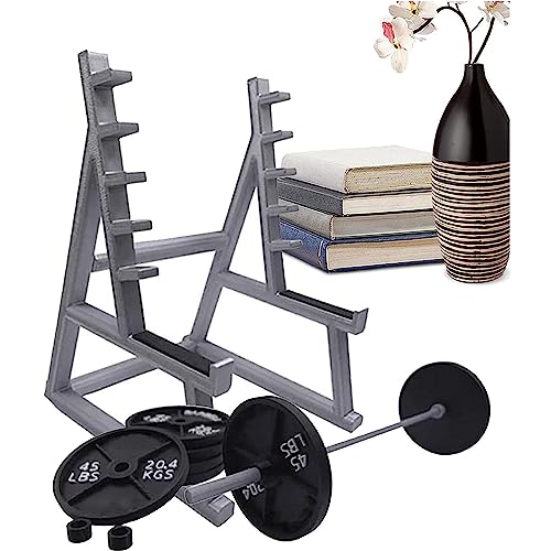 Squat Rack Pen Holder,Mini Squat Rack Ornaments With Barbells And Weights,Desk Organizer, Fun Gift For Fitness Enthusiasts And Weightlifting Fans (Squat Rack) #TOP5
