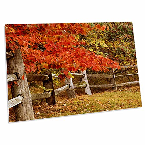 3dRose Desk Pad Autumn Walk Along Wooden Fence 23 x 16 pulg