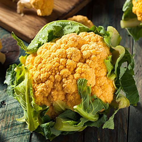 100 StüCk Blumenkohl Samen Gelb Zimmerpflanzen Hochbeet Saatgut Geschenk WintergemüSe Pflanzen DachbegrüNung GemüSe Alte GemüSesorten Samen Bio Balkonpflanzen Winterhart – Bild 3