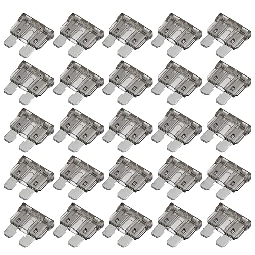 A ABSOPRO 25pz Lama Stile Fusibili 2A Lama Stile Fusibili per Auto Barca Grigio