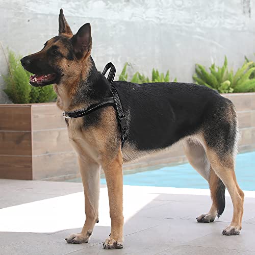 Image of Plutus Pet No Pull Dog Harness for Large Dogs, Breathable Mesh Padded | Adjustable Reflective with Handle, Escape Proof, Quick Fit Pet Vest, Front Clip, for Training and Walking, Black, L