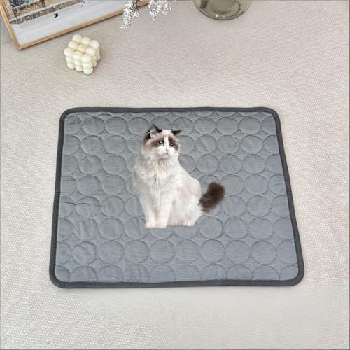 uPbg \tgNbV 􂦂 ܂肽݉\ y ~ ybg}bg ƒp _[NO[ 28"×22"