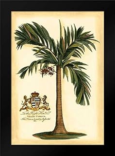 British Colonial Palm I 13x18 Framed Art Print by Vision Studio