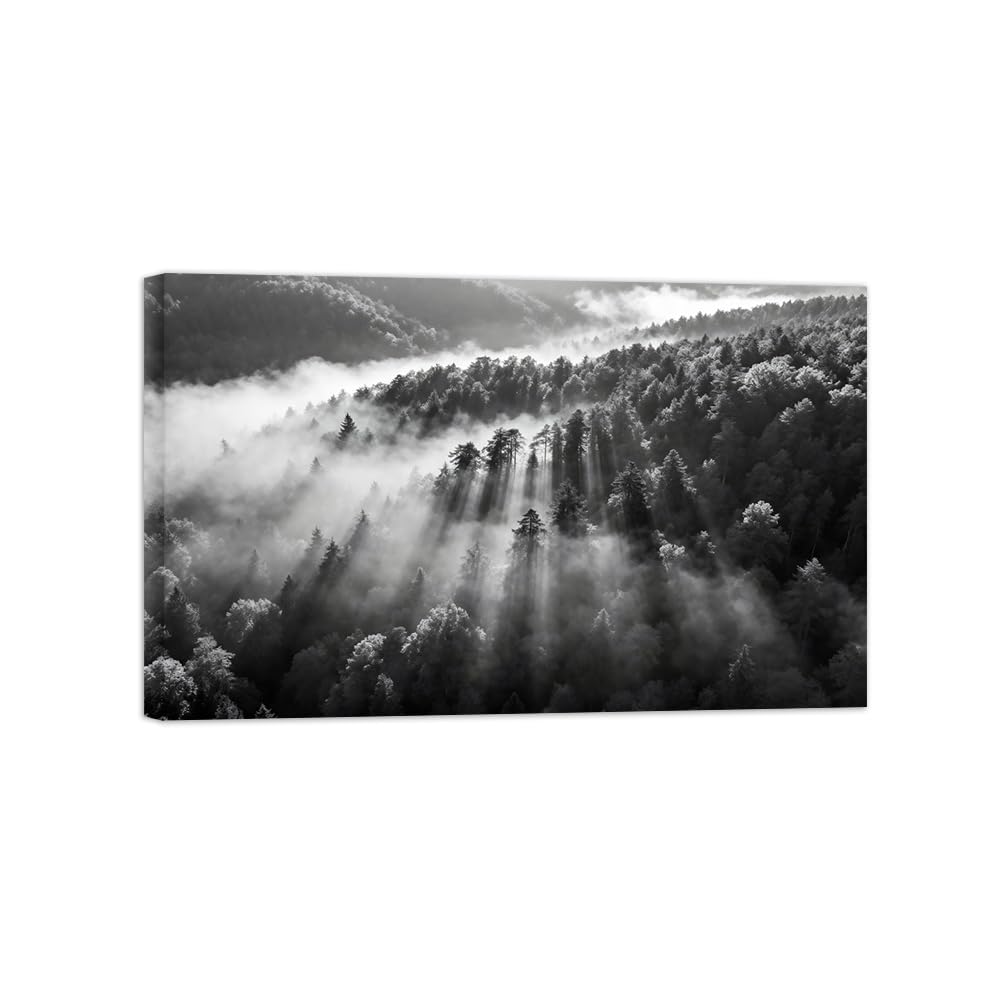 OZPWBVY Black and White Landscape Print Painting-Forest Clouds 3-Minimalist Canvas Wall Art Picture for Home Ready to Hang 16x26in 40x65cm Wrapped Canvas
