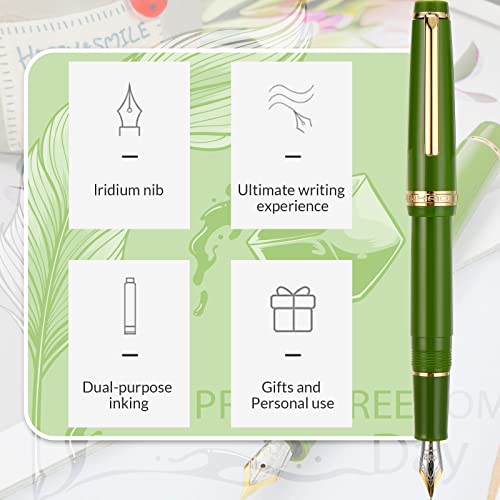 Colarr 5 Pcs Resin Fountain Pen Iridium Fine Nib Classic Pen With Converter Golden Clip Smooth Writing Pen For Home Office School Supplies, 5 Colors #TOP4