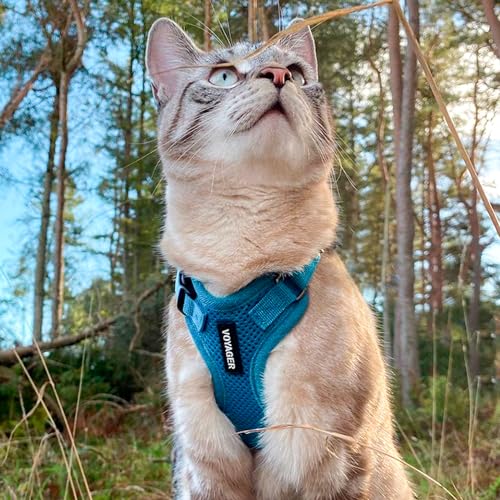 Image of Voyager Escape-Proof Step-in Lock Cat Harness & 5ft Neoprene-Handle Leash Set All-Weather Mesh with Reflective Stitching for Small to Large Cats by Best Pet Supplies, Turquoise, S