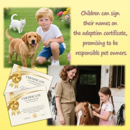Image of Certificate of Appreciation -25pcs, Certificates of Recognition-A31