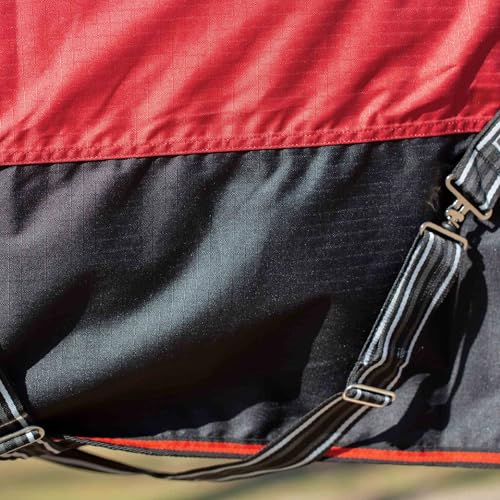 Image of Equinavia Norse Lightweight 100g Fill Horse Rain Blanket | Waterproof Turnout Sheet - Black - 66 in - Equestrian Red - 72 in