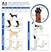 OrthoVet Standard Front Leg Brace for Dogs with Injuries, Arthritis, or Licking Prevention, Durable & Lightweight Post-Surgery Protection for Pets - XL