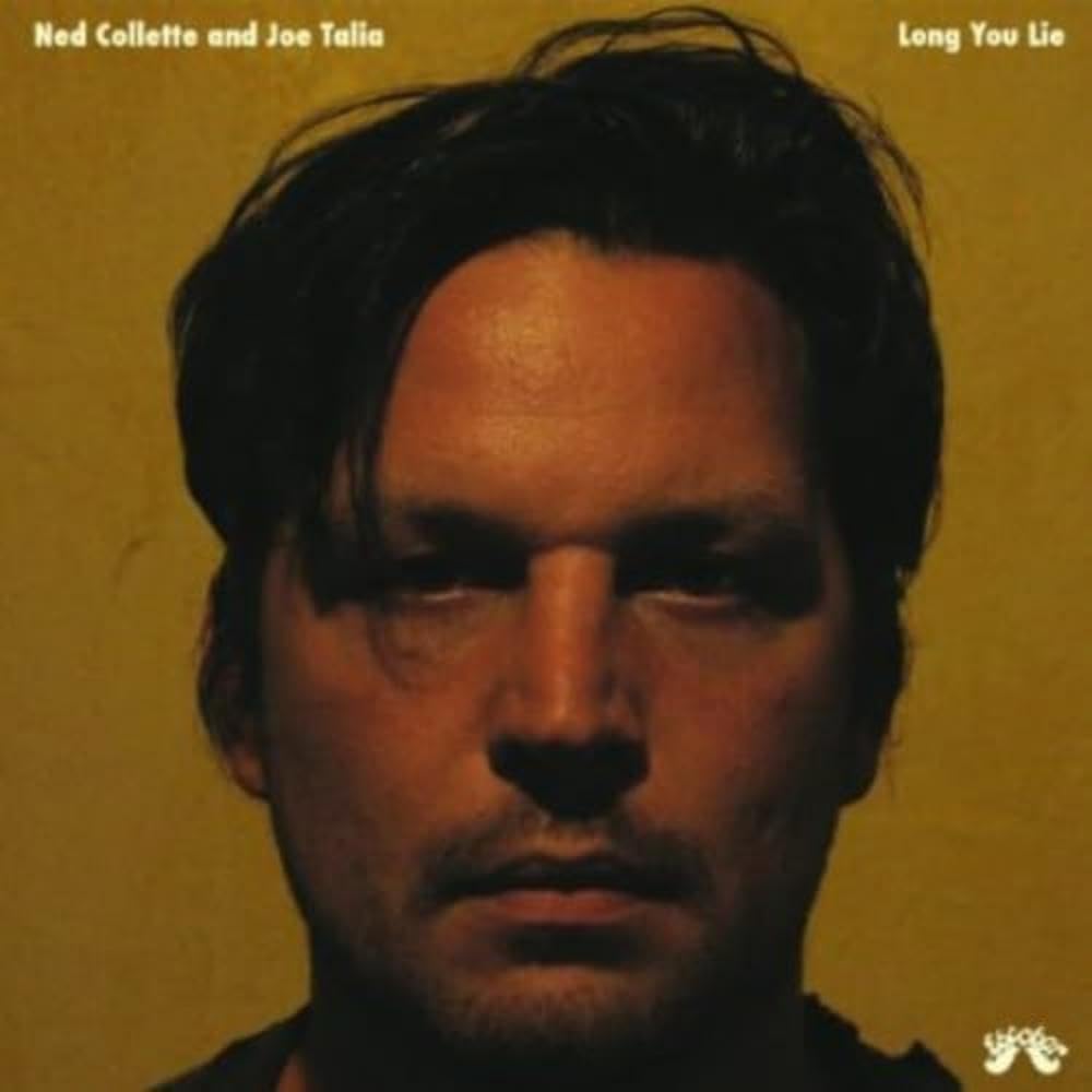 Long You Lie [VINYL]