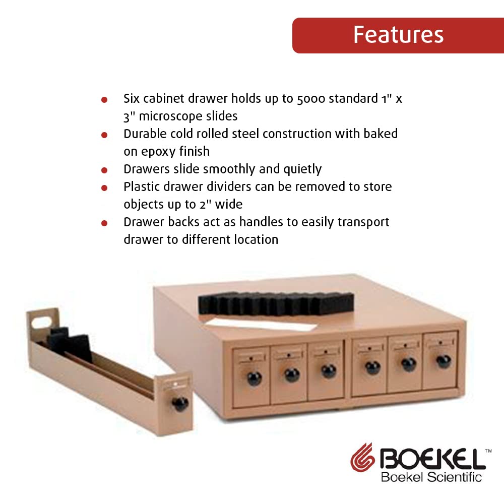 Quantum DL92050 Conductive Long Divider Accessory Compatible with DG92050 Grid Storage Bin for Industrial Warehouse Factory Hardware Store Electronic and Garage Shop | Gray, Polypropylene (Pack of 6)