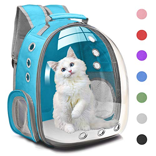 Best Cat Bubble Backpack And Buying Guide The Cat Loop