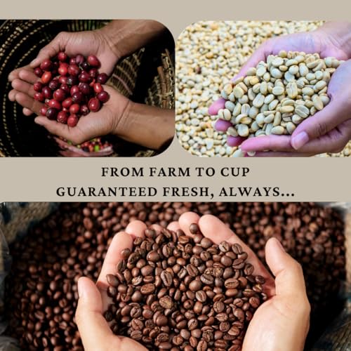 SipHaven Espresso Blend – Café en grano tueste medio 1lb miniatura 6