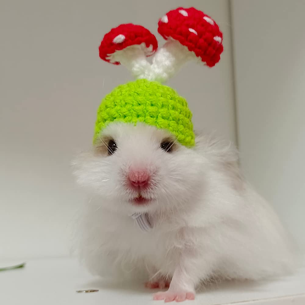 Amazon.co.jp: Oncpcare ハムスターの帽子 きのこの帽子 可愛い