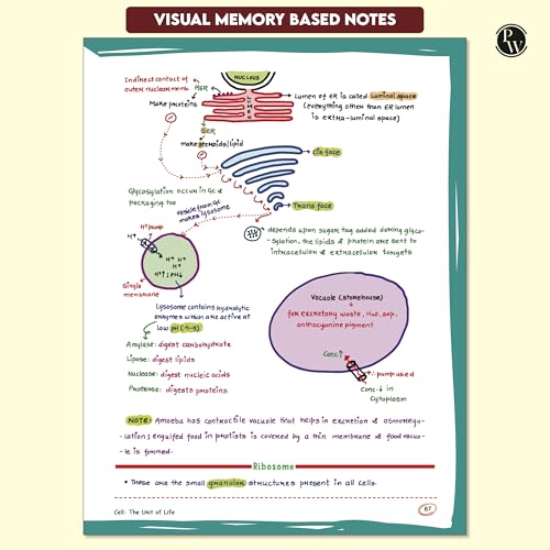PW Med Easy Zoology and Botany Notes Combo for NEET 2025-26 Pack of 2 - Image 7