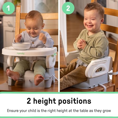 Image of Ingenuity Deluxe Comfort Booster Seat for Kitchen Chair, Compact Fold, Portable, Lightweight, Toddler Booster Seat for Dining Table, from 6 Months to 3 Years - Grey (Pack of 2)