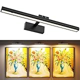 Wireless Picture Lights for Wall, Battery Operated Wall Light for Painting Rechargeable CCT Rotatable Art Gallery Light with Remote Dimmable Timer for Artwork Frame Display Dartboard (Black, 16inch)