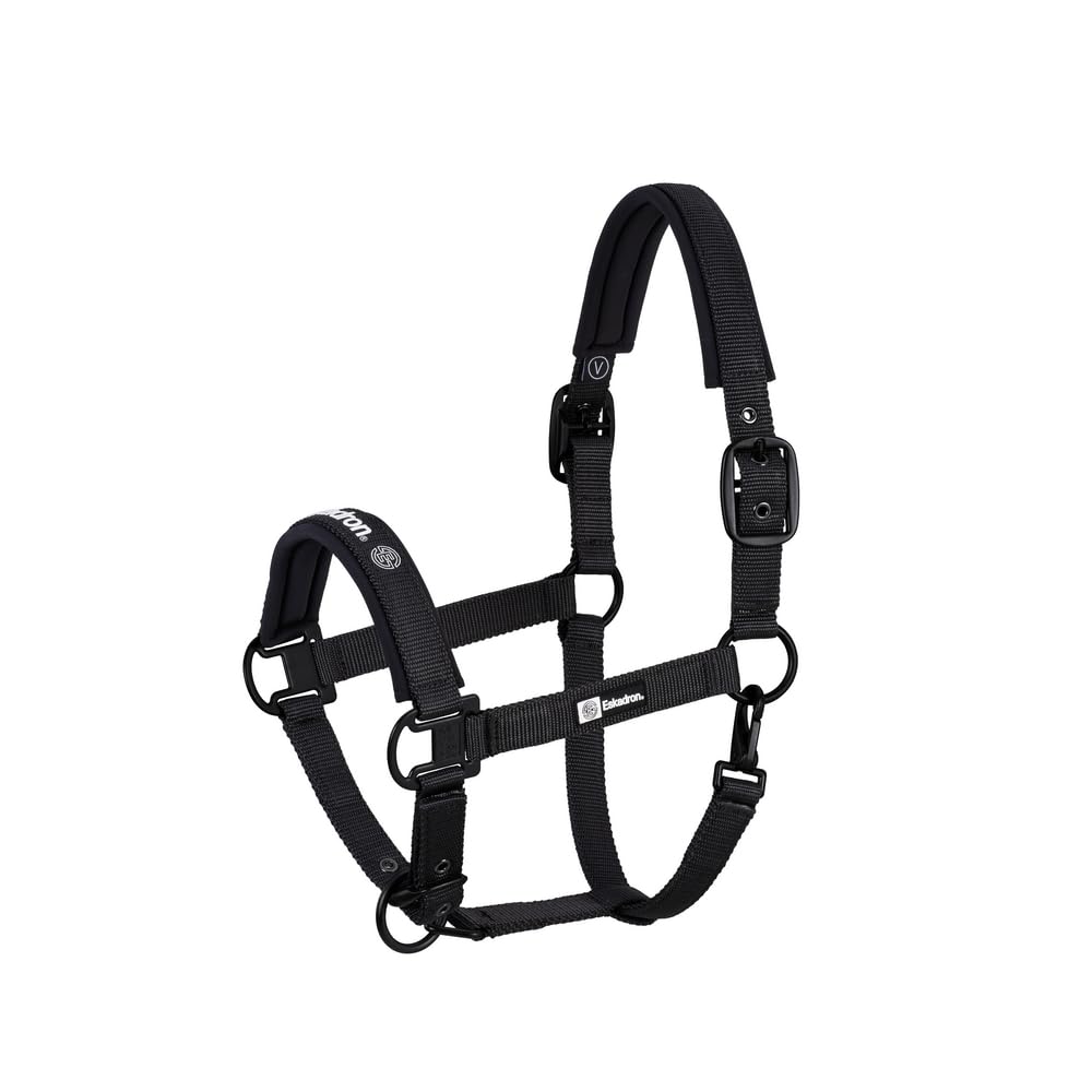 Halfter Double-Pin DYNAMIC Kollektion 2024