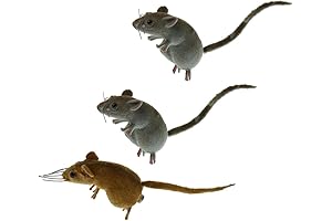Vivid Miniature Hairy Rubber Rats Figures