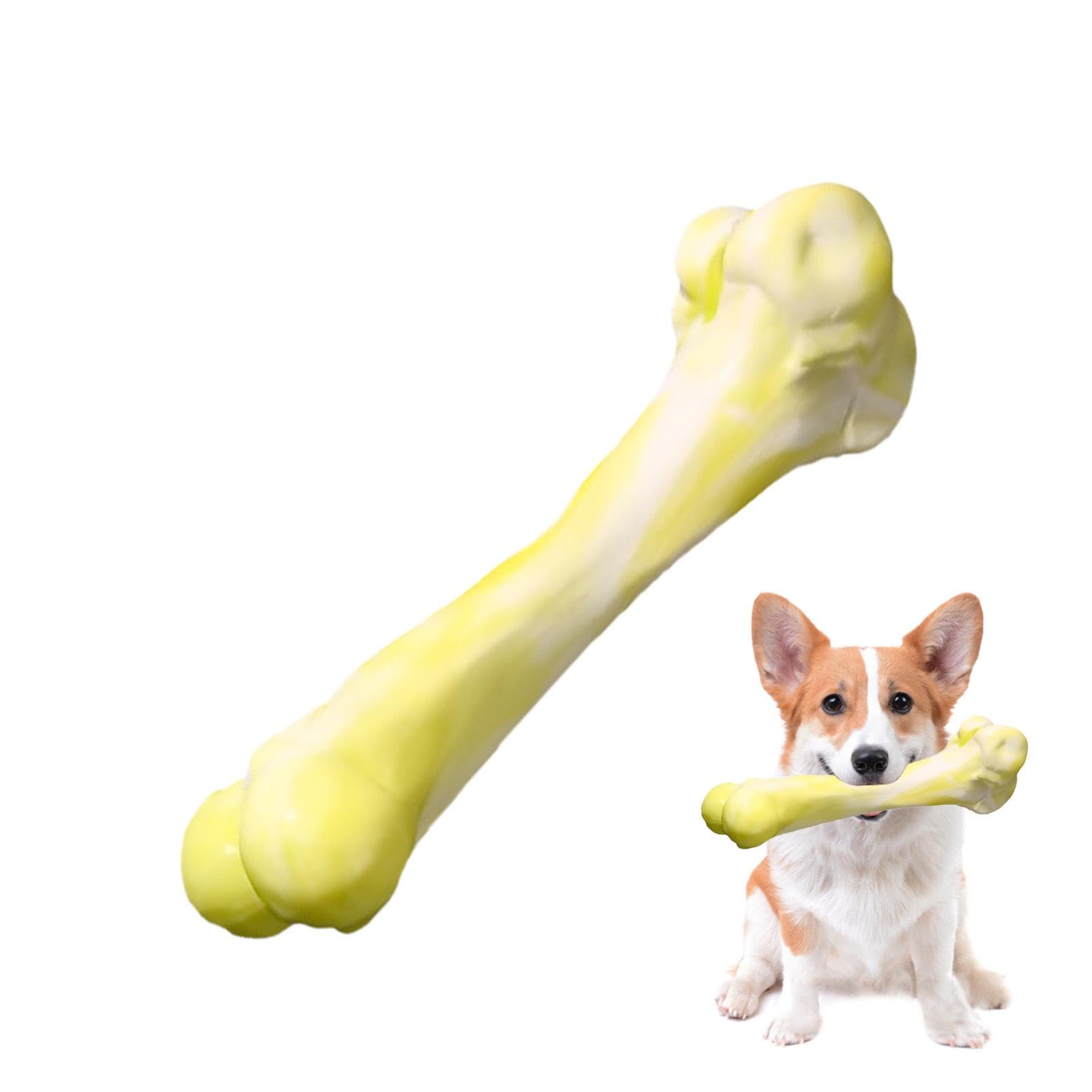 Amazon | Seechio 犬のおもちゃの骨、犬の噛む骨のおもちゃ - 犬の骨の