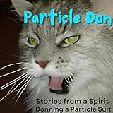 Particle Don