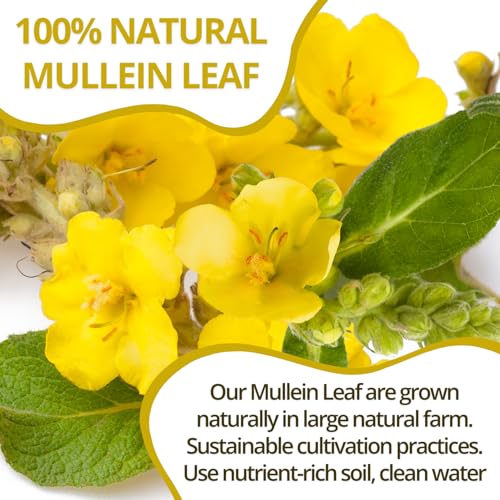 Image of VIDA FARM 125 Mullein Leaf Tea Bags