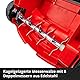 Einhell Akku-Vertikutierer-Lüfter GC-SC 36/31 Li-Solo Power X-Change (Lithium-Ionen, 36 V, 31 cm Arbeitsbreite, 3-in-1-Kombi, kugelgelagerte Messerwalze mit 8 Messern, ohne Akku und Ladegerät)