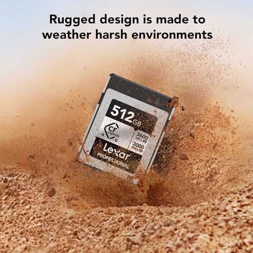 Image of Lexar 512GB Professional CFexpress Type B Silver 4.0 Memory Card, for Photographers, Videographers, Up to 3600 /3000 MB /s, 8K Video (LCXEXS4512G-RNENU)