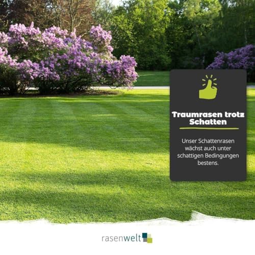 ARENA Rasensamen Sun and Shade 10kg | Premium Grassamen für Sonne, Schatten & Trockenlagen – Trockenrasen & Schattenrasen geeignet – hitzeverträglich & pflegeleicht