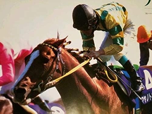 Amazon マヤノトップガン 天皇賞春 サクラローレル マーベラスサンデー B2 希少 競馬ポスター Keiba 中央競馬 優勝 レース 3強列伝 非売品 おもちゃ おもちゃ