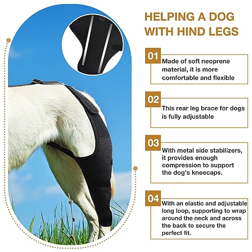 Image of Dog Knee Brace - Knee Cap Dislocation for ACL, CCL, Cruciate Ligament Injury, Joint Pain and Muscle Sore, Adjustable Dog Rear Legs Bracer with Metal Side Stabilizers (Black, Medium-Right)