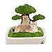 Cat Scratching Post with Rope Hanging Ball Toy for Indoors Cats Cat Scratcher Tower with Cat Bed & Furniture with Sisal Cat Scratching Post,23.6' Tree,Combination of Cat Bed with Scratching Post