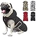 Etechydra Winter Hundejacke with Abnehmbarem Hut, Hundemantel Wasserdicht Reflektierend Hund Mantel Warme Hoodie Fleece Welpenmantel, Jacken für Kleine Mittlerer Große Hunde, Schwarz, L