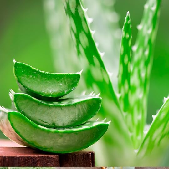 Miniatura 5 de Zermat Naturalezza, Talco para Pies, 4.23 Oz.