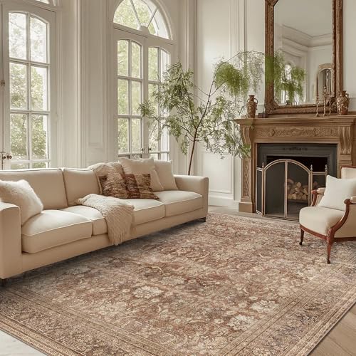 vivorug 6x9 Area Rugs, Ultra-Soft Washable Rug for Living Room Dinner Room Bedroom, Non-Slip Vintage Rug, Indoor Carpet Large Area Rug, Brown