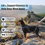 Harbyel Multi-Functional Dog Lift Harness – Full Body Support Vest for Front, Rear, or Whole-Body Lifting – Mobility Aid for Senior, Injured, or Post-Surgery Dogs, Breathable & Washable