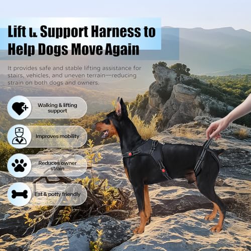 Harbyel Multi-Functional Dog Lift Harness – Full Body Support Vest for Front, Rear, or Whole-Body Lifting – Mobility Aid for Senior, Injured, or Post-Surgery Dogs, Breathable & Washable