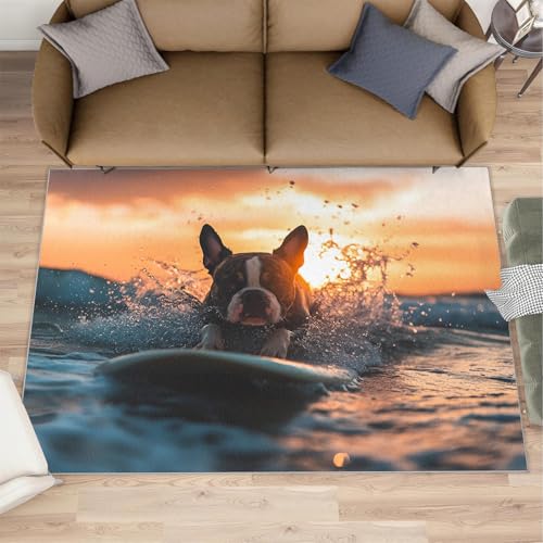 JYIZUA Pug Rugs for Living Room - 5x6 Rug, Surfboard