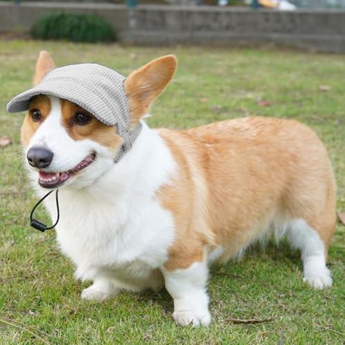 Hunde Baseballmütze, Verstellbar Sommer Sonnenschutz Hut Sonnenhüte mit Ohrlöchern, Haustier Sommer Hut für Welpen Hunde Mütze (Grau, M)