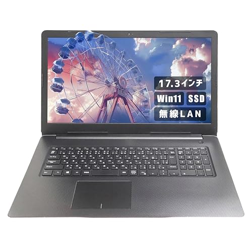 yςݕizi17.3C` Officeځj Aurora&Stars DELLm[gPC win11 INSPIRON 3780 i5  J SSD sOffice 2019/LAN/Bluetooth/Jo[pUSB64