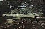 Lawrence Welk's Country Club Village and Golf Course Escondido, California CA Original Vintage Postcard