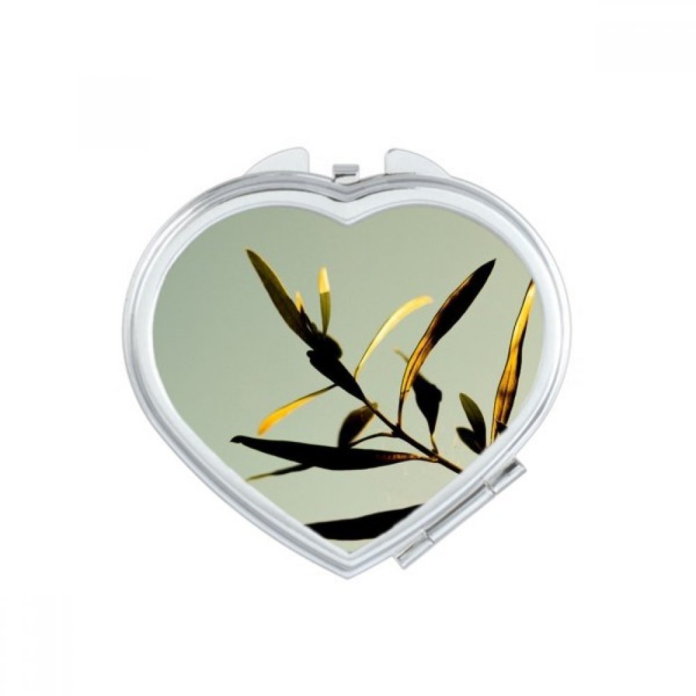Miroirs de poche à la main motif feuille plante sombre cœur portable